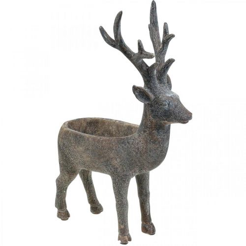 Floristik24 Vaso per piante cervo decorativo renna vaso da fiori H39.5cm