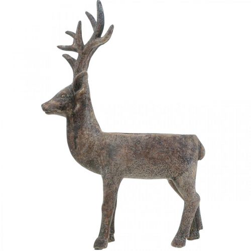 Floristik24 Vaso per piante cervo decorativo renna vaso da fiori H39.5cm