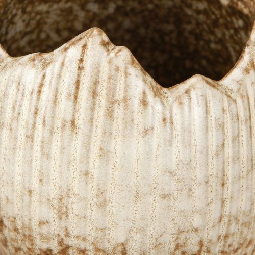 Prodotto Vaso per piante in ceramica Uovo rotto Crema Marrone Ø9.5cm 3 pezzi