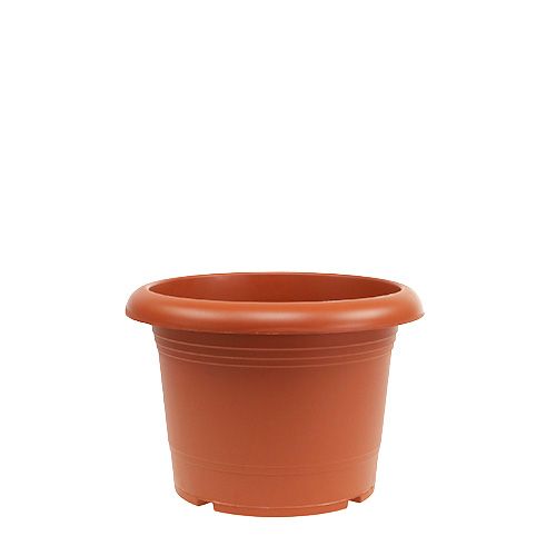 Floristik24 Portavaso &quot;Oliver&quot; in terracotta Ø15cm