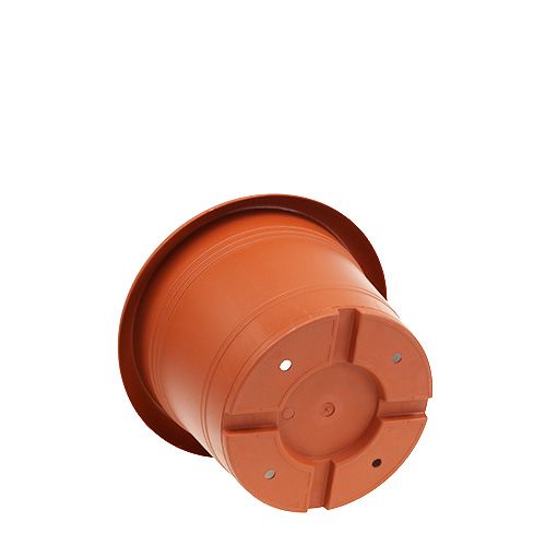 Floristik24 Portavaso "Oliver" in terracotta Ø15cm