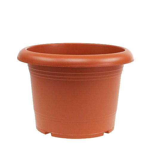 Floristik24 Portavaso “Oliver” in terracotta Ø30cm