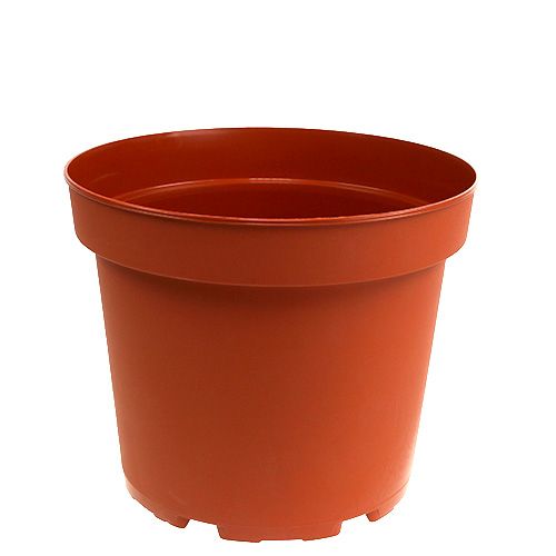Floristik24 Vaso per piante in plastica Ø19cm 10 pezzi