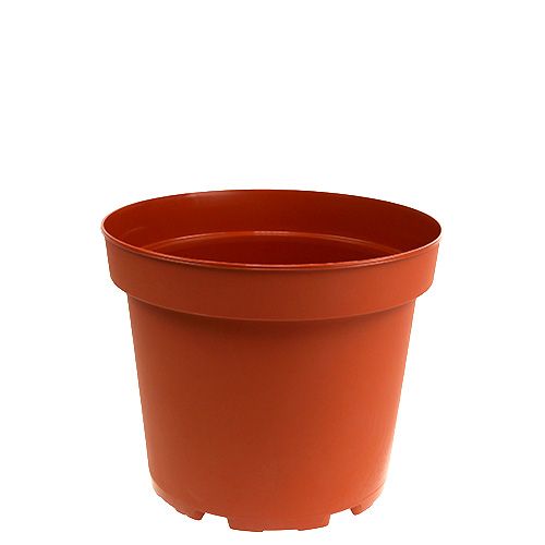 Floristik24 Vaso per piante vaso interno in plastica Ø10,5 cm 10 pezzi