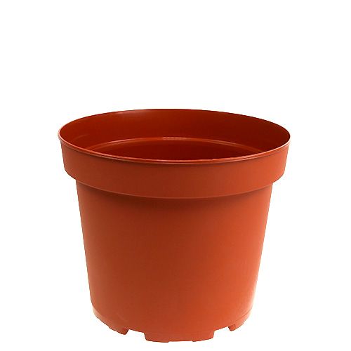 Floristik24 Vaso per piante vaso interno in plastica Ø15cm 10 pezzi