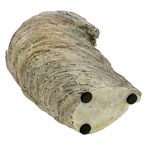 Floristik24 Vaso per piante tronco d'albero Ø11.5cm H14cm 2 pezzi