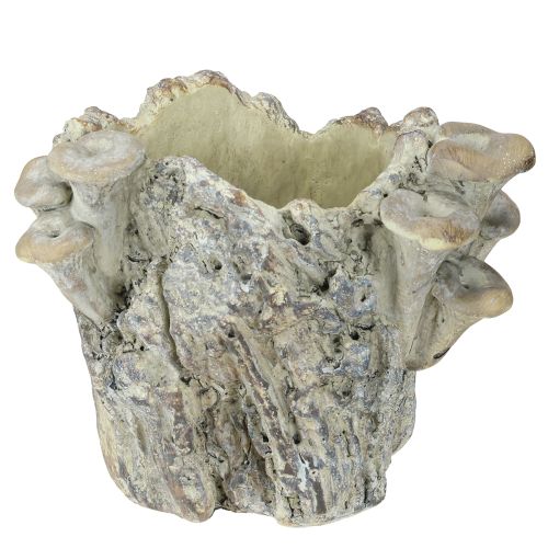 Vaso per piante in pietra fusa con funghi, ceppo d&#39;albero, 16 cm