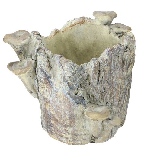 Prodotto Vaso per piante in pietra fusa con funghi, ceppo d&#39;albero, 16 cm