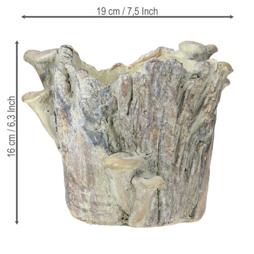 Prodotto Vaso per piante in pietra fusa con funghi, ceppo d&#39;albero, 16 cm
