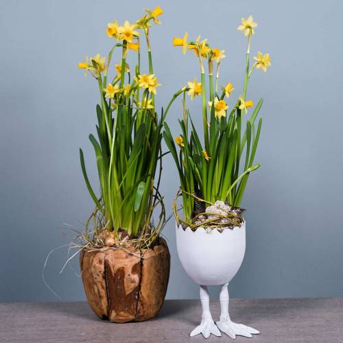 Prodotto Vaso di Pasqua Uovo con gambe Bianco Ø13cm H21cm