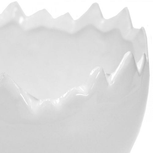 Floristik24 Portavasi guscio d'uovo bianco Ø12cm H9cm 2pz