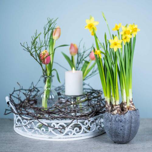 Floristik24 Portavasi guscio d&#39;uovo Ø12cm H11.5cm 6 pezzi