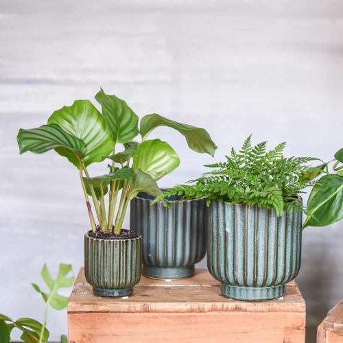 Floristik24 Vaso per piante, vaso in ceramica, fioriera ondulata verde, marrone Ø11.5cm H12.5cm