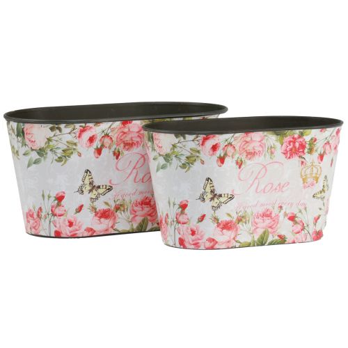 Prodotto Rose in vaso, vaso decorativo, vassoio per fiori 21,5 cm/18,5 cm, set da 2