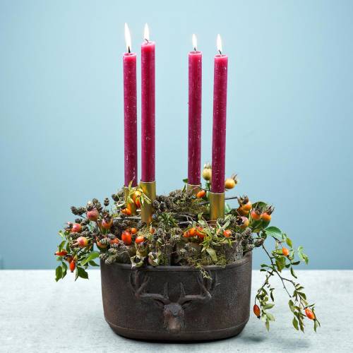 Floristik24 Portavaso patina ruggine con testa di cervo 24cm x 14cm H13cm