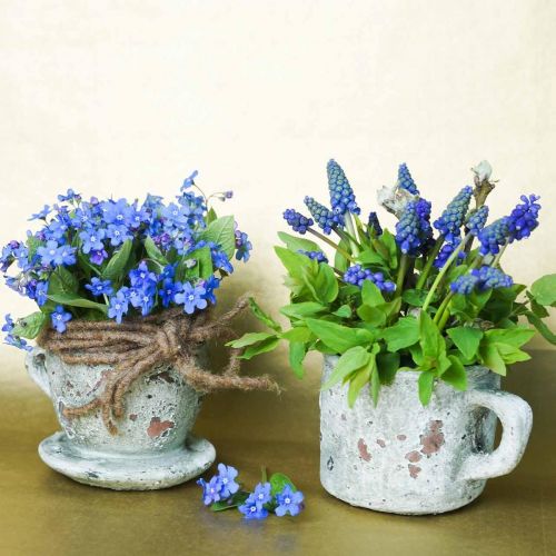 Prodotto Tazza per fioriera con sottovaso grigio vintage, tono naturale Ø8cm H6,5cm 4 pz