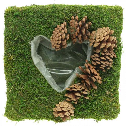 Cuscino per piante cuore muschio e coni quadrati 25 × 25 cm