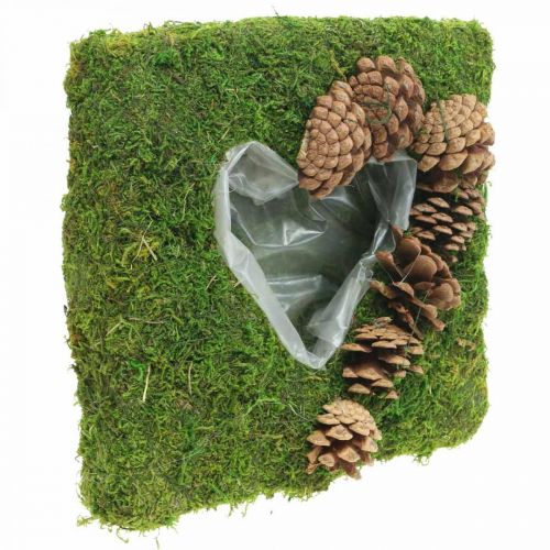 Floristik24 Cuscino per piante cuore muschio e coni quadrati 25 × 25 cm