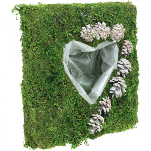 Floristik24 Cuscino per piante cuore muschio e pigne, bianco lavato 25 × 25 cm