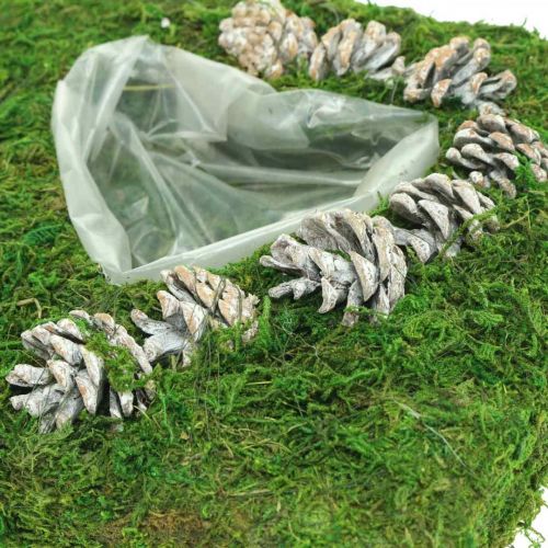 Floristik24 Cuscino per piante cuore muschio e pigne, bianco lavato 25 × 25 cm