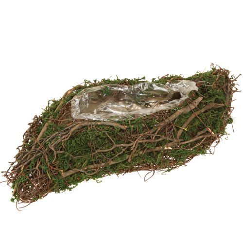 Piccola ciotola per piante Plant Wave Vines con muschio 31×15×7cm