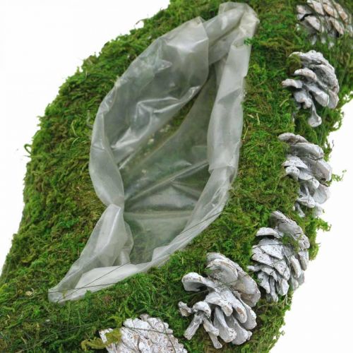 Floristik24 Fioriera muschio e coni verde onda, bianco lavato 41 × 15 cm