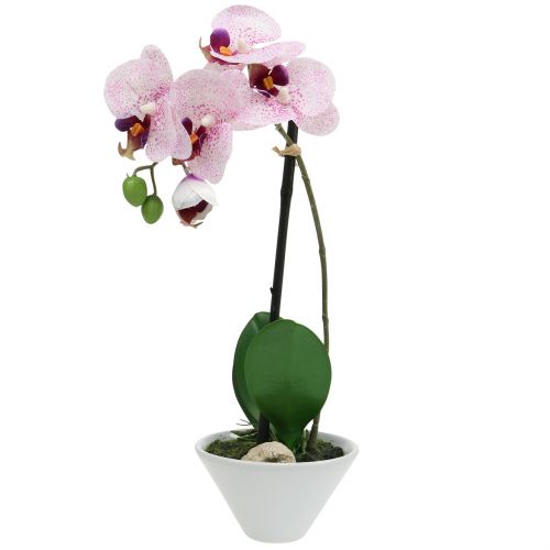 Floristik24 Phalaenopsis artificiale viola-bianco in tazza H38cm