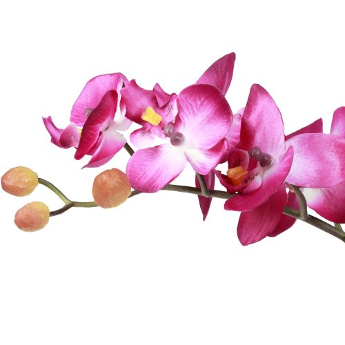 Prodotto Orchidee artificiali in vaso Phalaenopsis fiori artificiali orchidee rosa 34 cm