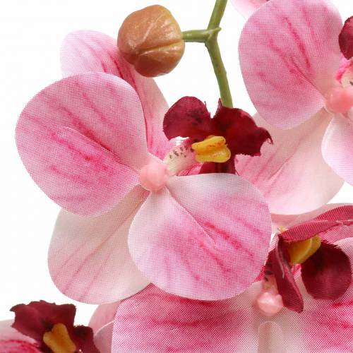 Ramo di orchidea artificiale Phaelaenopsis rosa H49cm