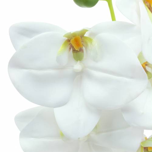 Ramo orchidea artificiale Phaelaenopsis bianco H49cm