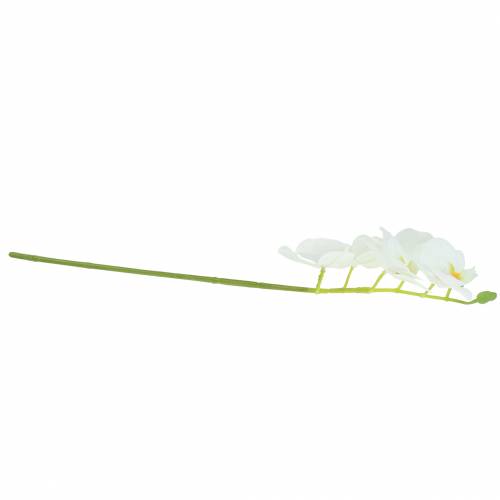 Floristik24 Ramo orchidea artificiale Phaelaenopsis bianco H49cm