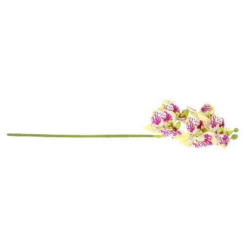 Prodotto Ramo di orchidea artificiale Phaelaenopsis verde rosa H49cm