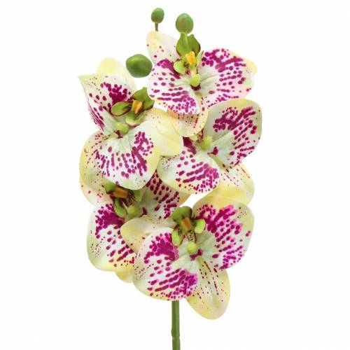 Prodotto Ramo di orchidea artificiale Phaelaenopsis verde rosa H49cm