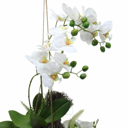 Prodotto Orchidea con palline di felce e muschio artificiale bianca da appendere 64 cm