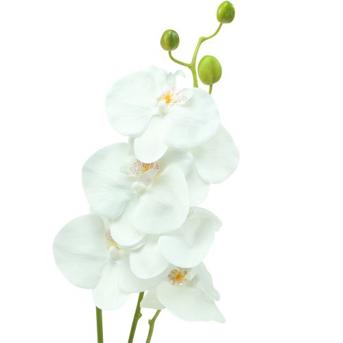 Floristik24 Orchidea Phalaenopsis artificiale bianca 80cm