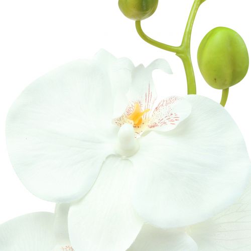 Prodotto Orchidea Phalaenopsis artificiale bianca 80cm