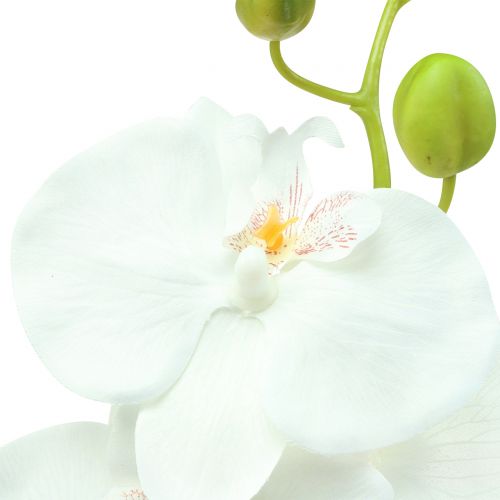 Floristik24 Orchidea Phalaenopsis artificiale bianca 80cm