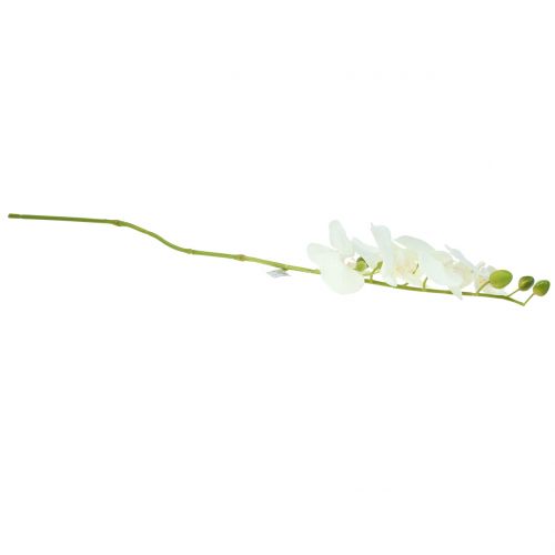 Floristik24 Orchidea Phalaenopsis artificiale bianca 80cm