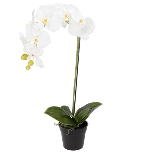 Floristik24 Pianta di orchidea artificiale, ingannevolmente realistica, per la decorazione di ufficio e soggiorno, 62 cm