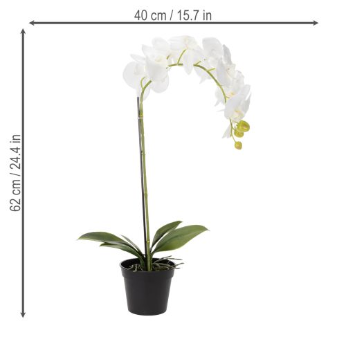 Prodotto Pianta di orchidea artificiale, ingannevolmente realistica, per la decorazione di ufficio e soggiorno, 62 cm