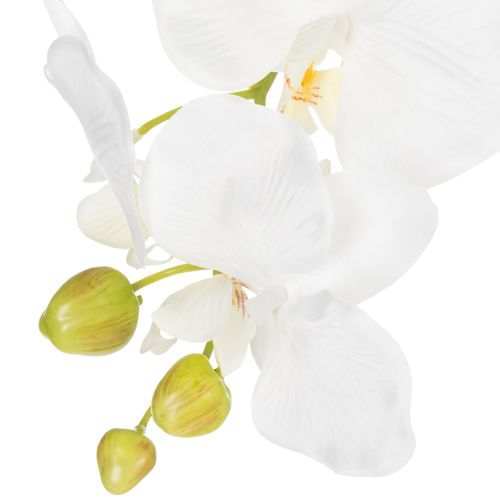 Prodotto Pianta di orchidea artificiale, ingannevolmente realistica, per la decorazione di ufficio e soggiorno, 62 cm