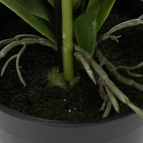 Prodotto Pianta di orchidea artificiale, ingannevolmente realistica, per la decorazione di ufficio e soggiorno, 62 cm
