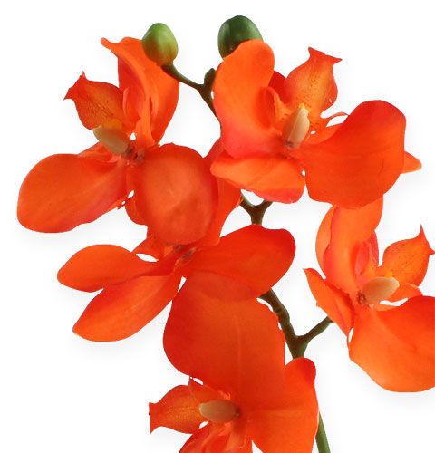 Prodotto Orchidea artificiale con foglie di arancio 35 cm
