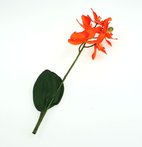 Floristik24 Orchidea artificiale con foglie di arancio 35 cm