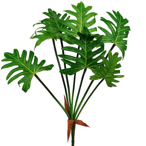 Floristik24 Pianta di filodendro verde artificiale 58 cm