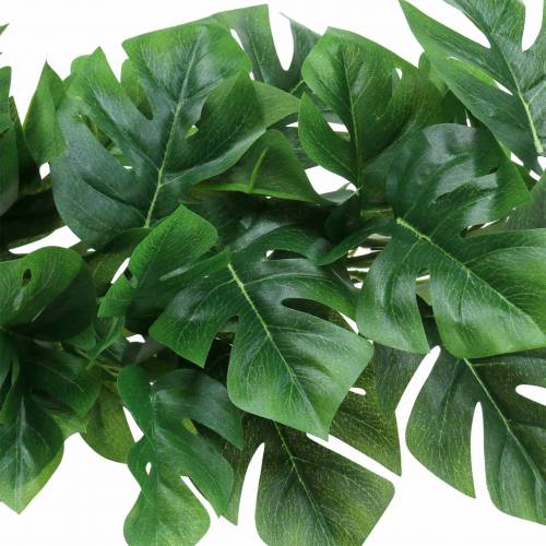 Floristik24 Appendiabiti filodendro verde 85cm