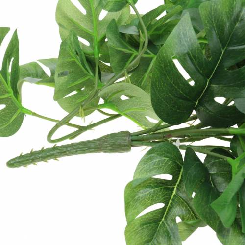 Floristik24 Appendiabiti filodendro verde 85cm