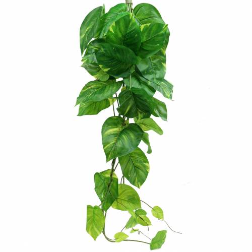 Floristik24 Appendino Philodendron artificiale 110cm