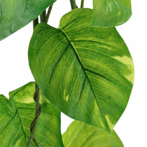 Floristik24 Appendino Philodendron artificiale 110cm