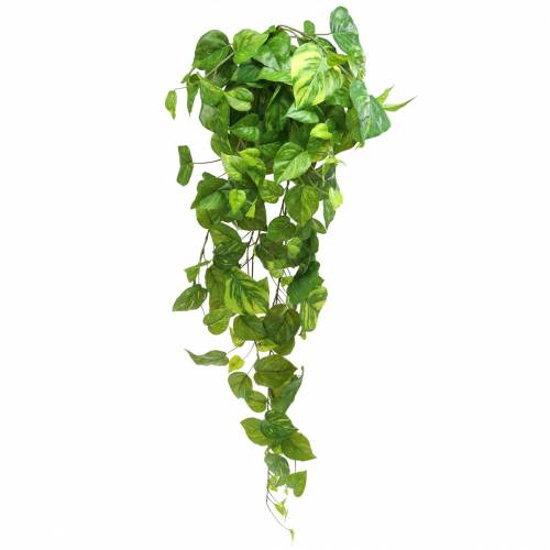 Prodotto Appendiabiti filodendro 80 cm
